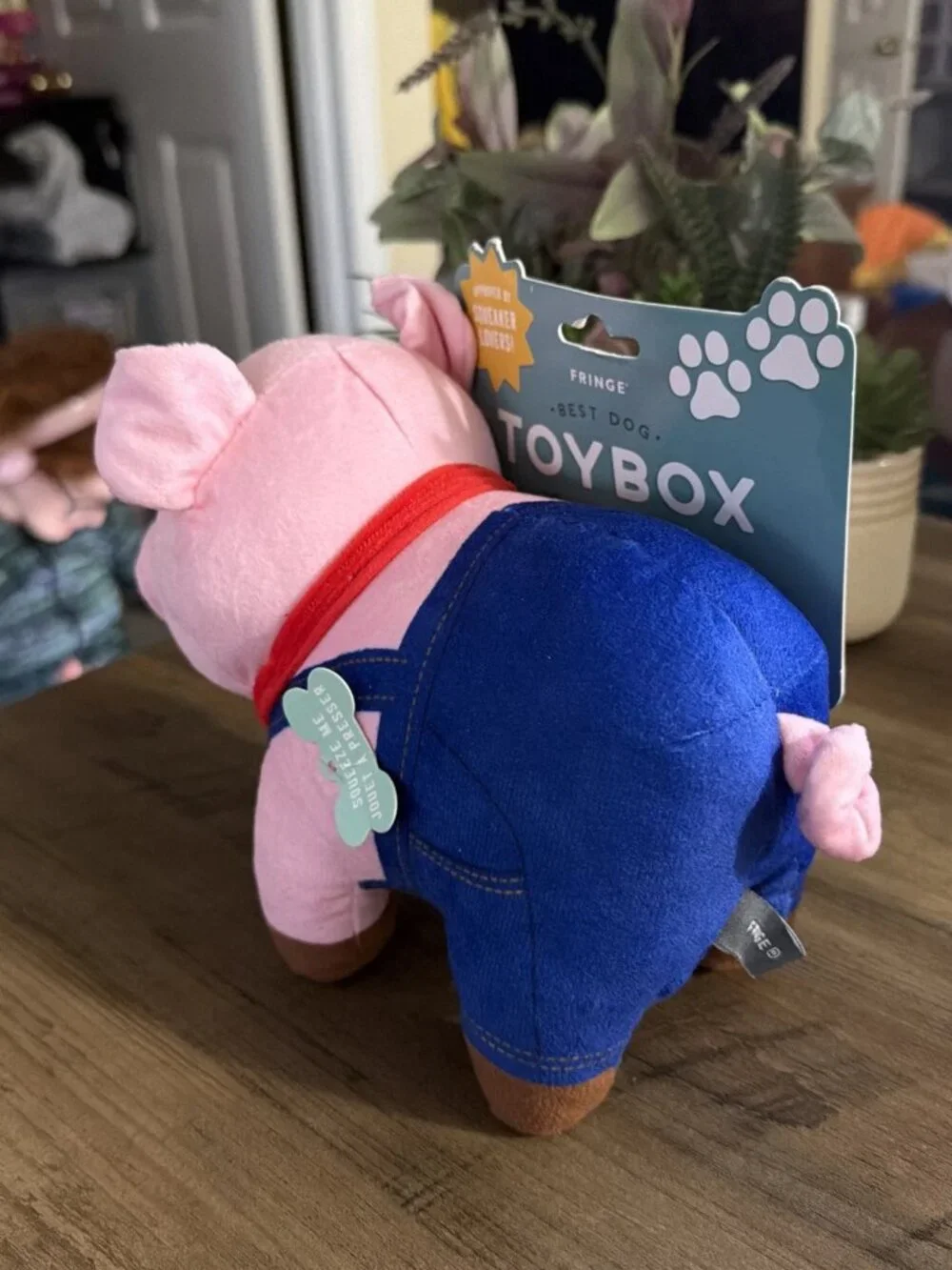 Fringe Studio fringe pig